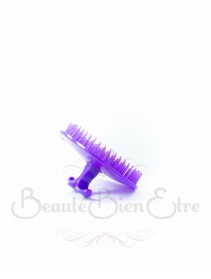 BROSSE A CHEVEUX RONDE