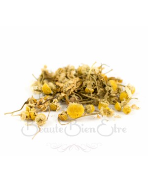 FLEURS DE CAMOMILLE MATRICAIRE SECHEES 50 GR