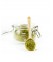 HENNE NEUTRE EN POUDRE CASSIA (FEUILLES) D'INDE BBE BEAUTE BIEN ETRE 100 G