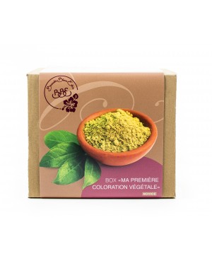 BOX "MA PREMIÈRE COLORATION VÉGÉTALE" CUIVRÉ INTENSE [NOVICE] BBE BEAUTE BIEN ETRE 10 PIÈCES