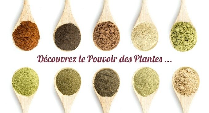 LE POUVOIR DES PLANTES